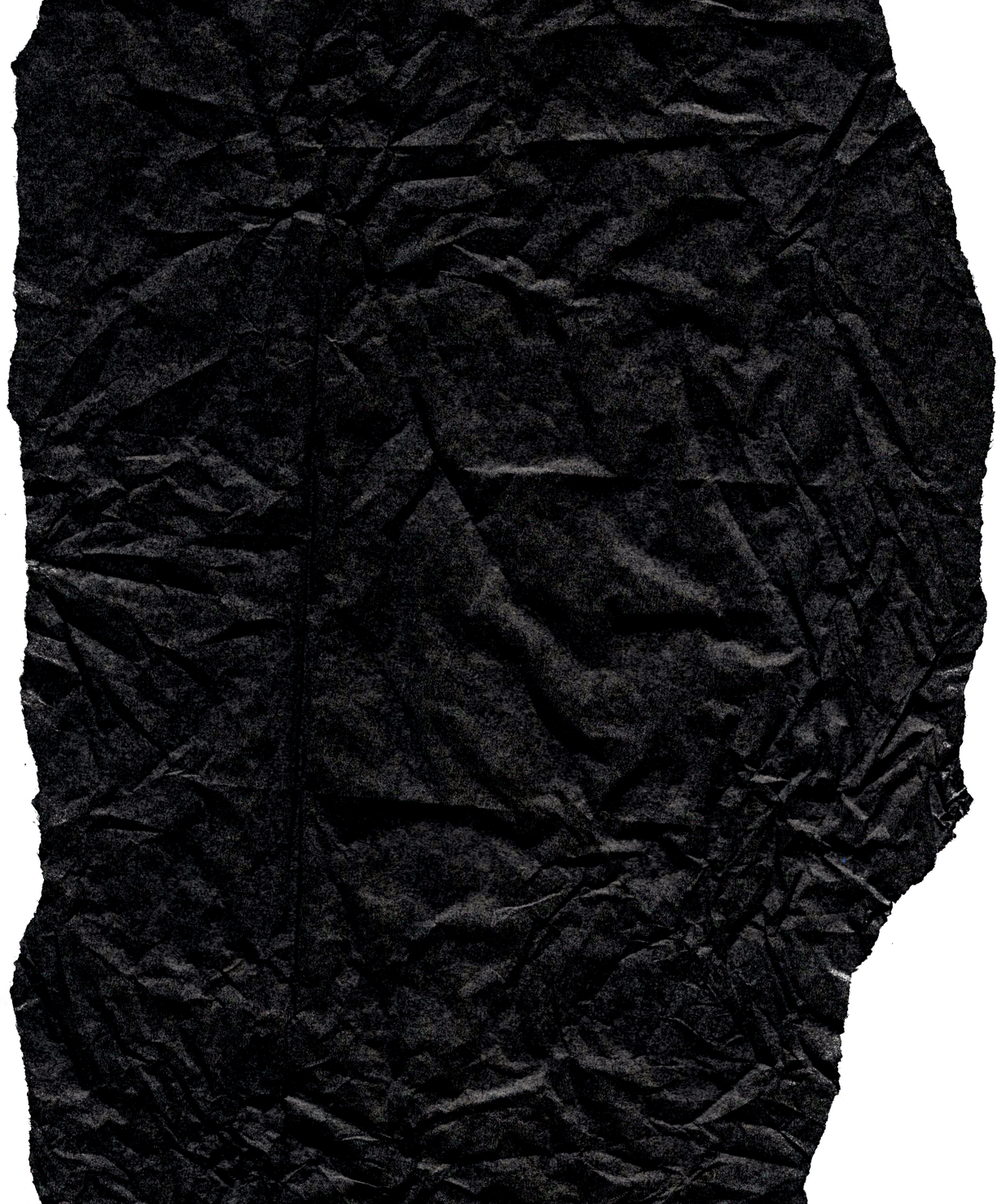 Ripped Paper